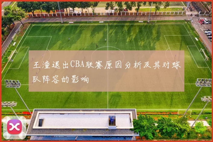 王潼退出CBA联赛原因分析及其对球队阵容的影响