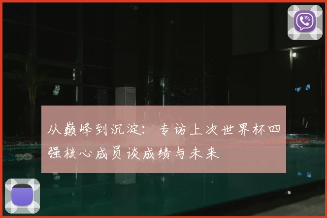 从巅峰到沉淀：专访上次世界杯四强核心成员谈成绩与未来