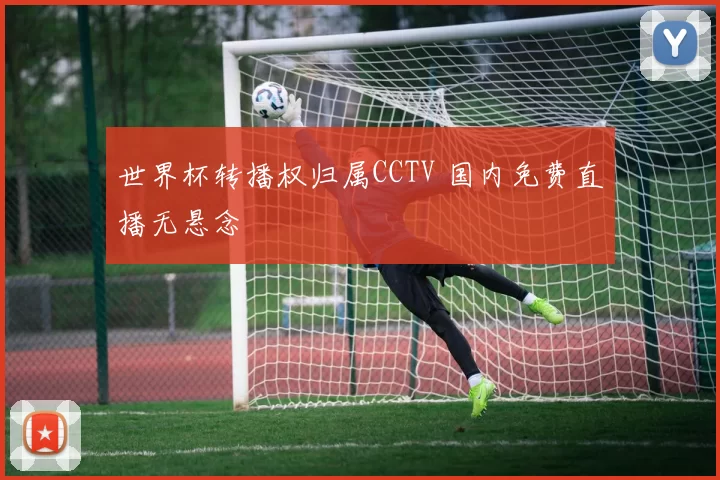 世界杯转播权归属CCTV 国内免费直播无悬念