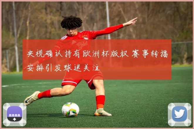 央视确认持有欧洲杯版权 赛事转播安排引发球迷关注