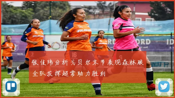 张佳玮分析戈贝尔末节表现森林狼全队发挥超常助力胜利