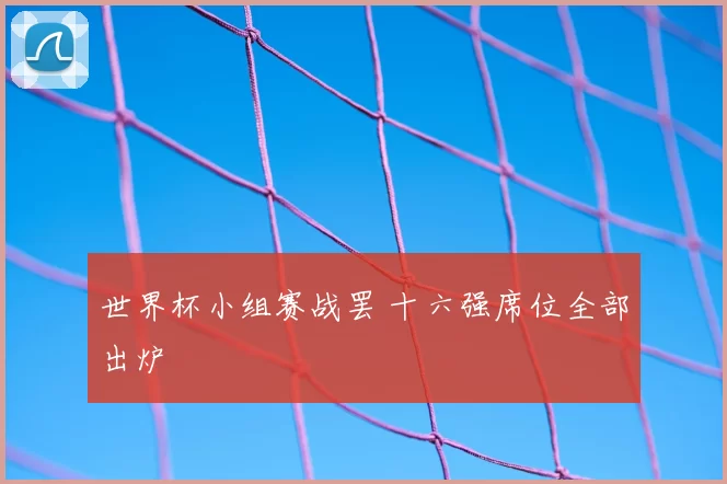 世界杯小组赛战罢 十六强席位全部出炉