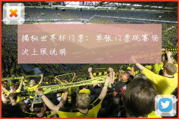 揭秘世界杯门票:单张门票观赛场次上限说明