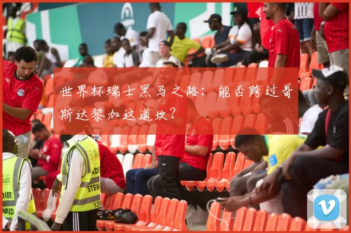 世界杯瑞士黑马之路：能否跨过哥斯达黎加这道坎？