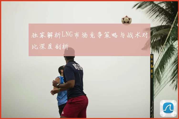 独家解析LNG市场竞争策略与战术对比深度剖析
