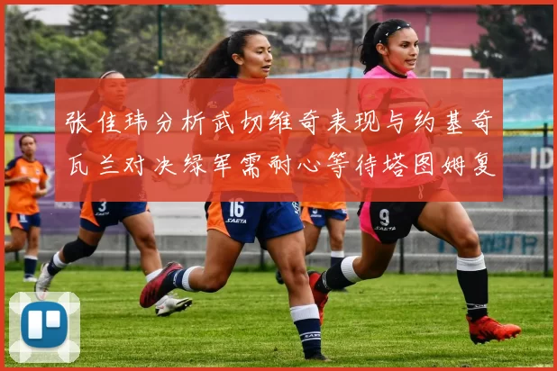 张佳玮分析武切维奇表现与约基奇瓦兰对决绿军需耐心等待塔图姆复出