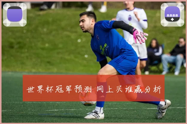 世界杯冠军预测 网上买谁赢分析