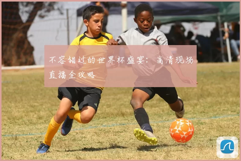 不容错过的世界杯盛宴:高清现场直播全攻略