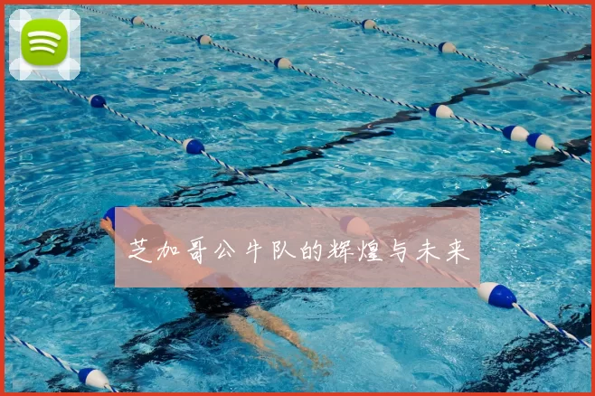 芝加哥公牛队的辉煌与未来