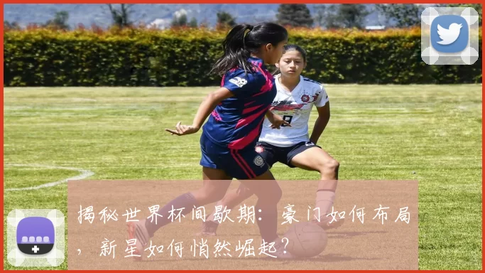 揭秘世界杯间歇期：豪门如何布局，新星如何悄然崛起？
