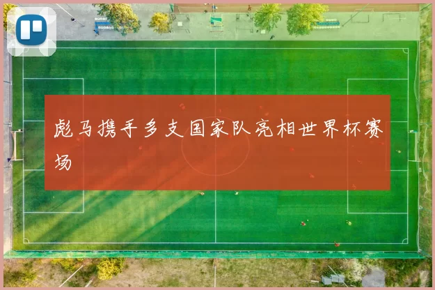 彪马携手多支国家队亮相世界杯赛场