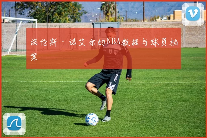 诺伦斯·诺艾尔的NBA数据与球员档案