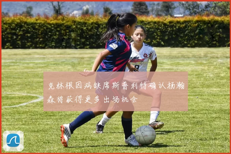 克林根因病缺席斯普利特确认杨瀚森将获得更多出场机会