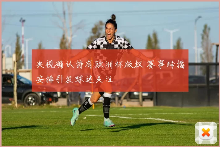 央视确认持有欧洲杯版权 赛事转播安排引发球迷关注