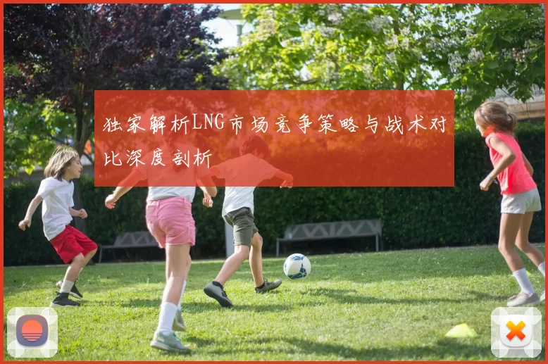独家解析LNG市场竞争策略与战术对比深度剖析
