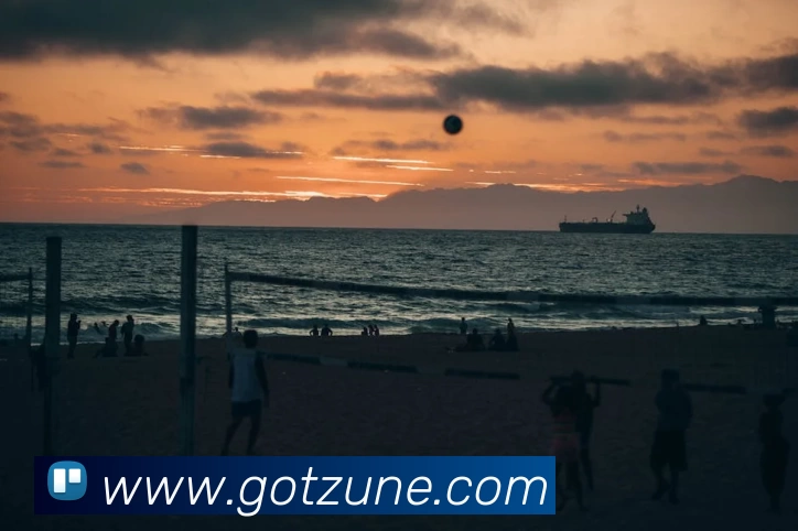 星空体育平台生态图